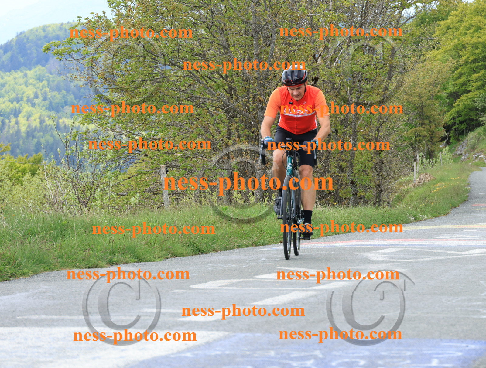 Col du Grand Colombier (611).JPG