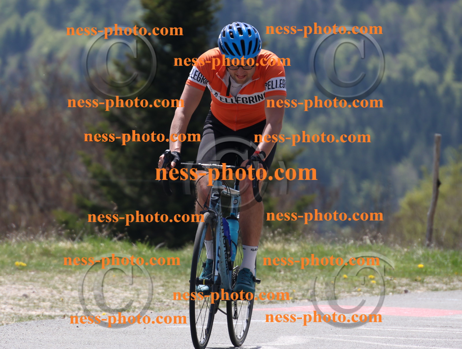 Col du Grand Colombier (318).JPG