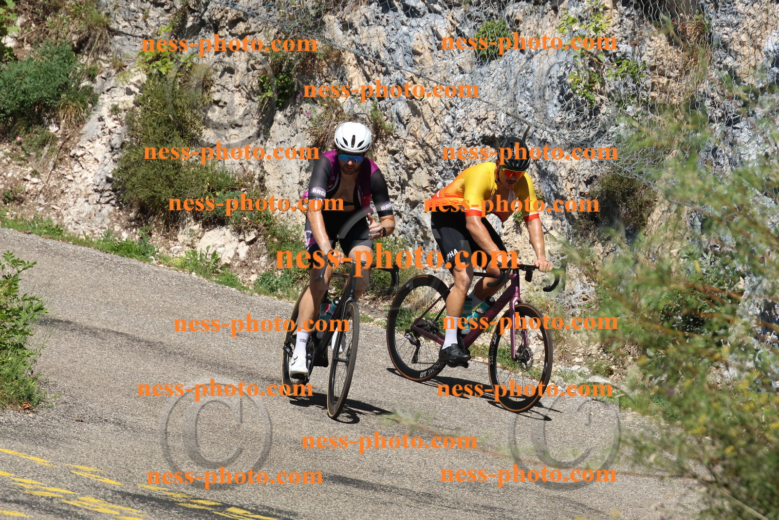 Col du Grand Colombier (563).JPG