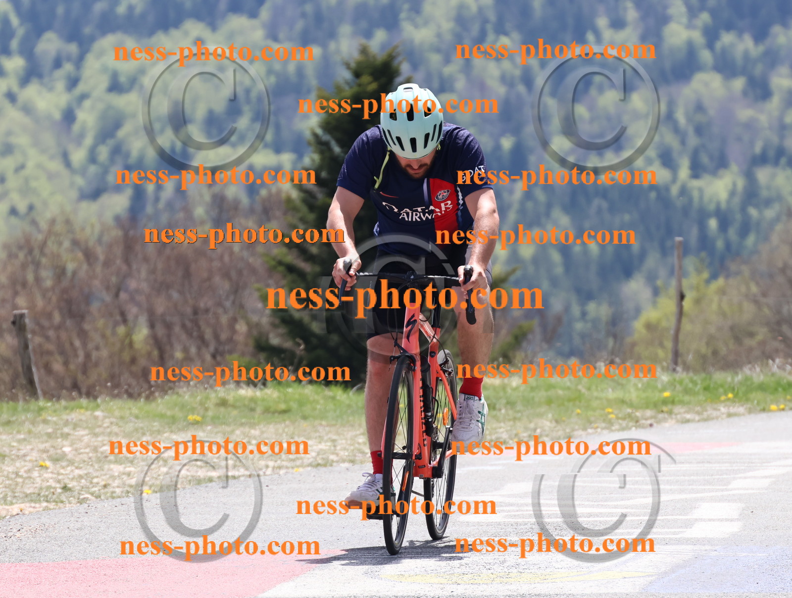 Col du Grand Colombier (611).JPG