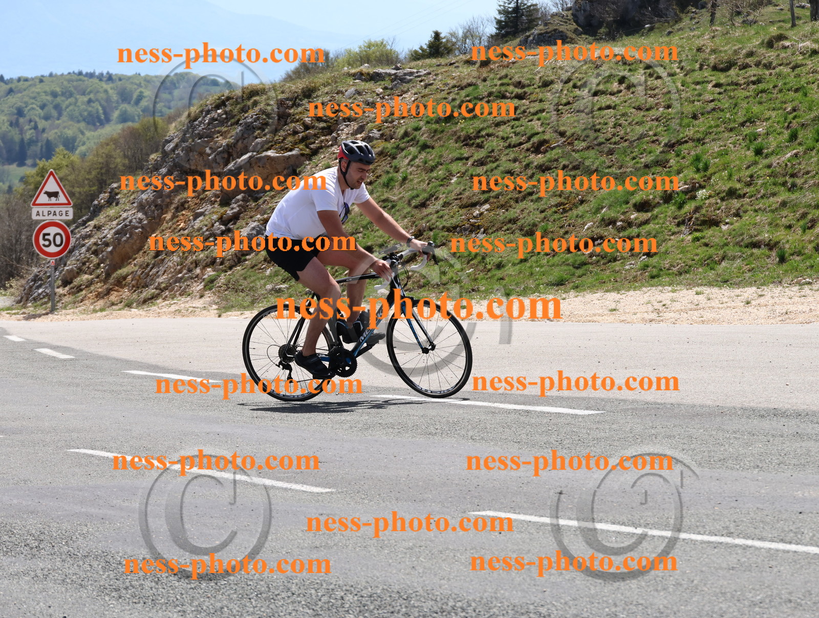 Col du Grand Colombier (714).JPG