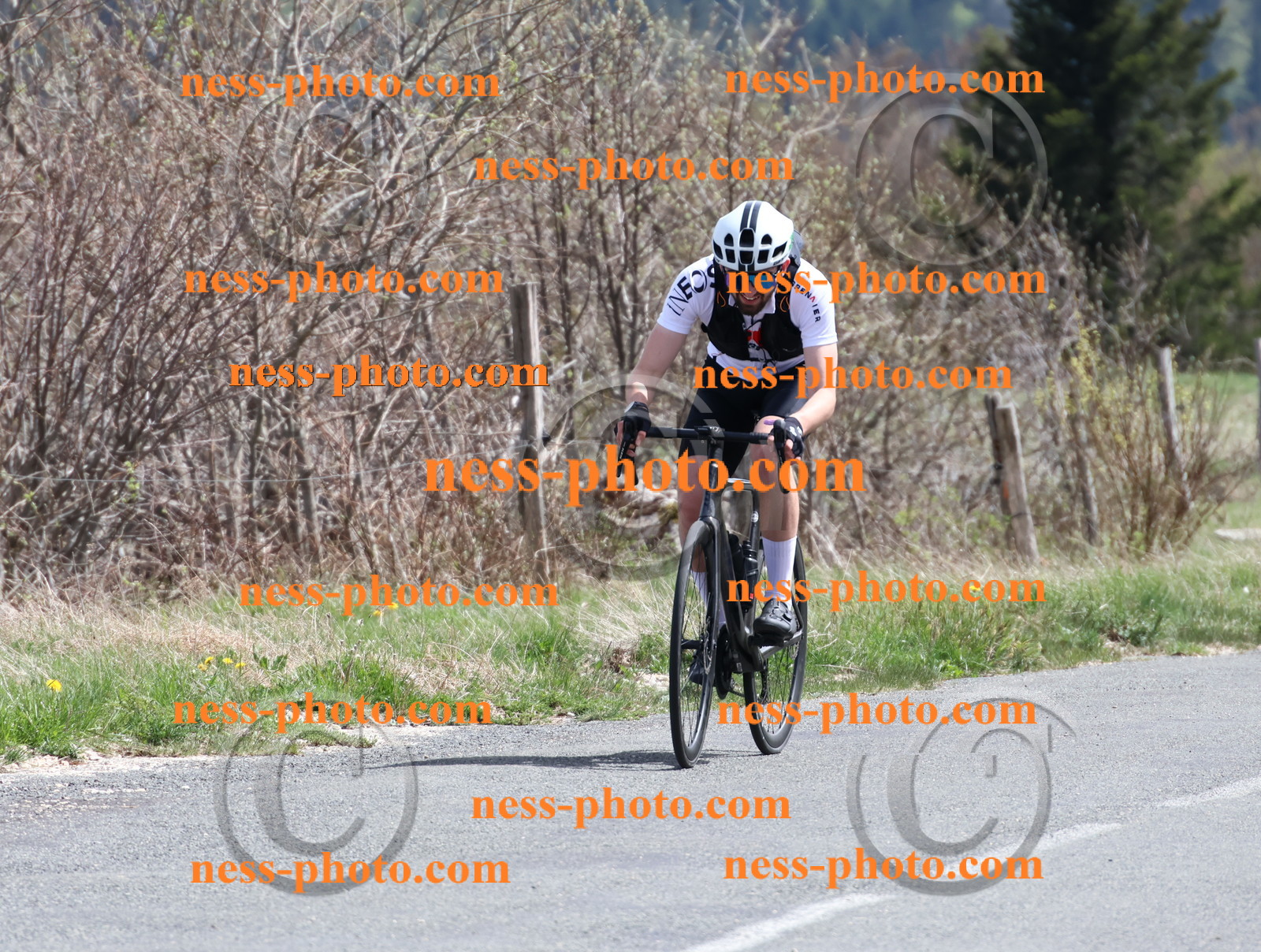 Col du Grand Colombier (1005).JPG