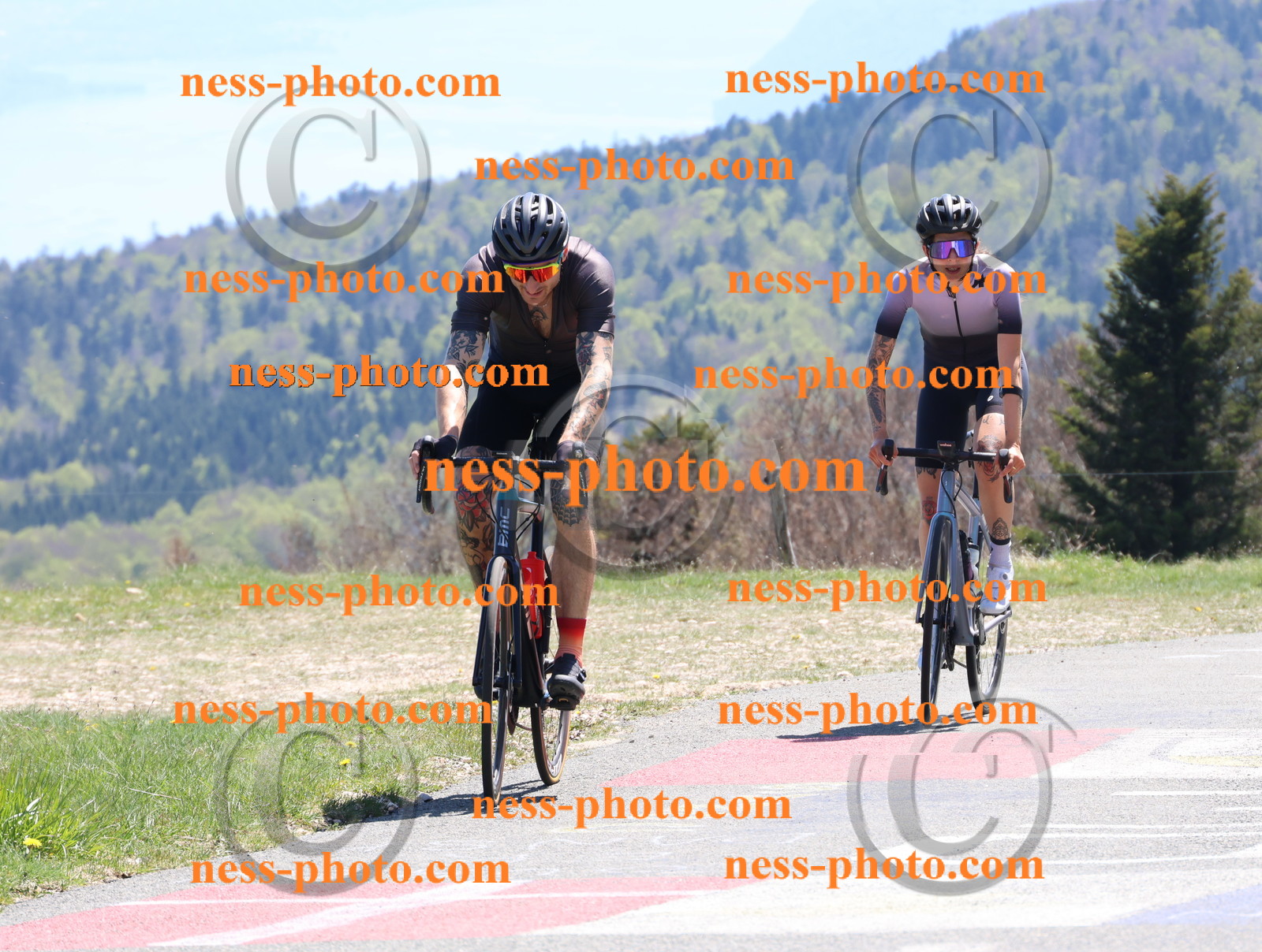 Col du Grand Colombier (759).JPG