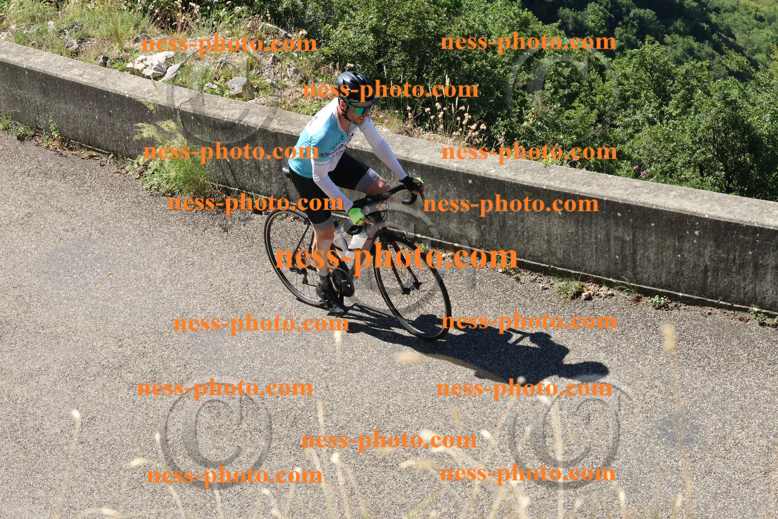 Col du Grand Colombier (237).JPG