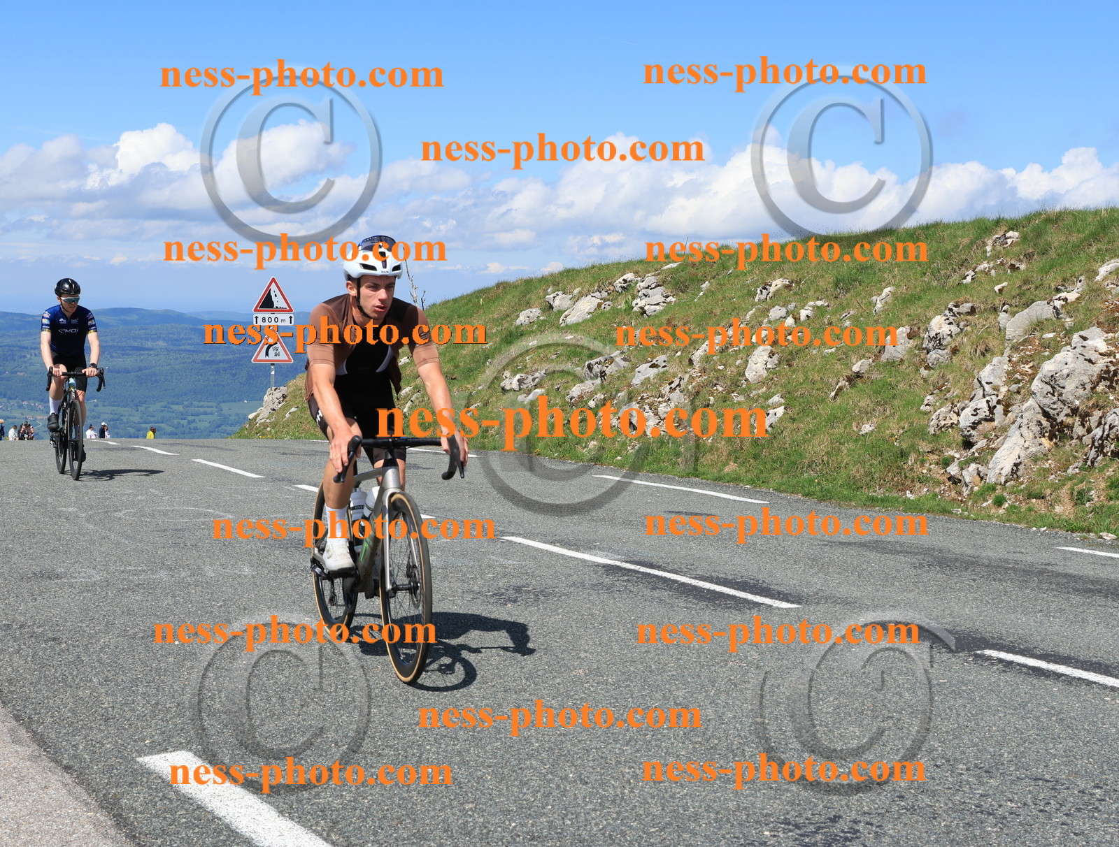 Col du Grand Colombier (1317).JPG