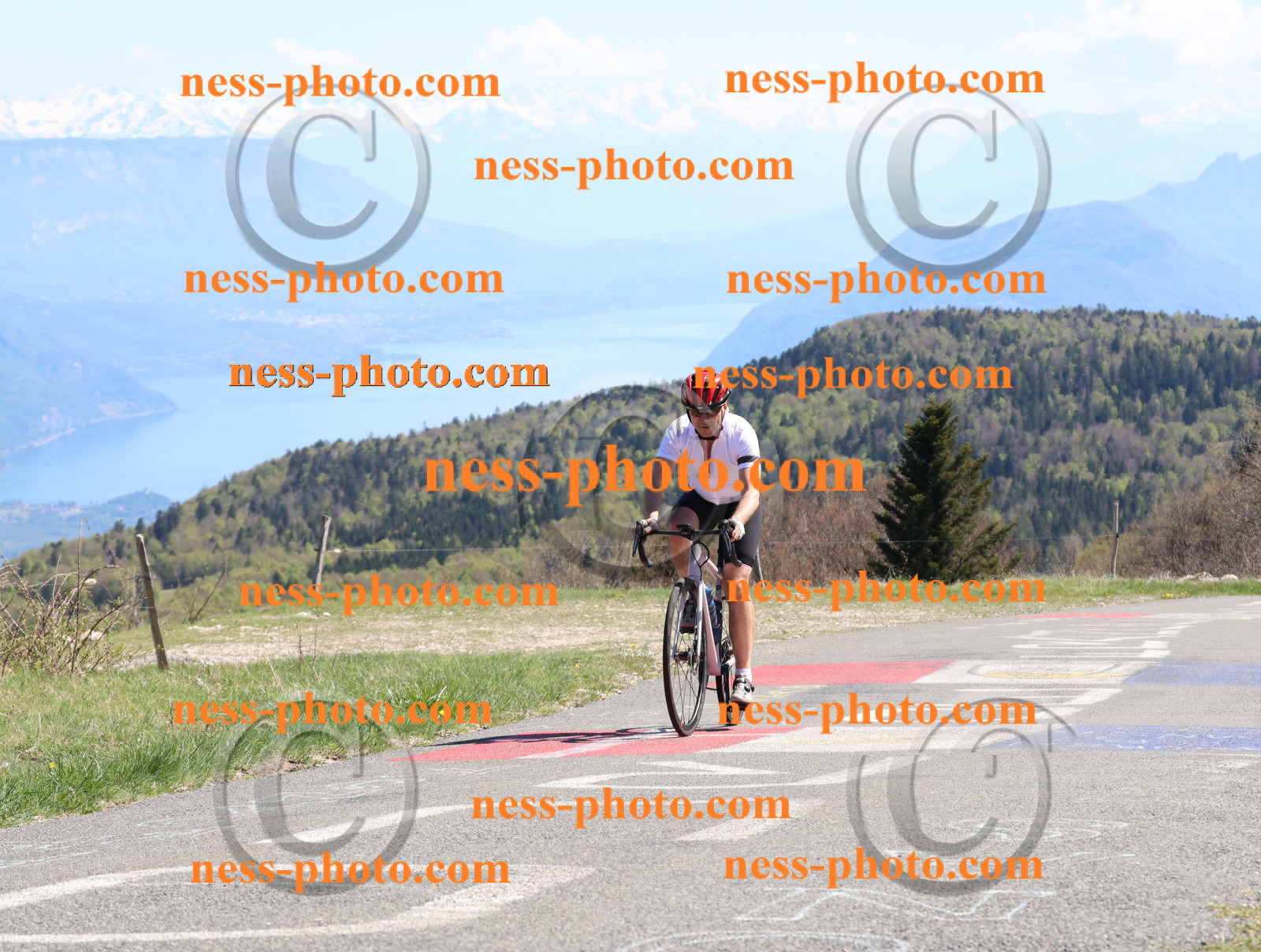 Col du Grand Colombier (986).JPG