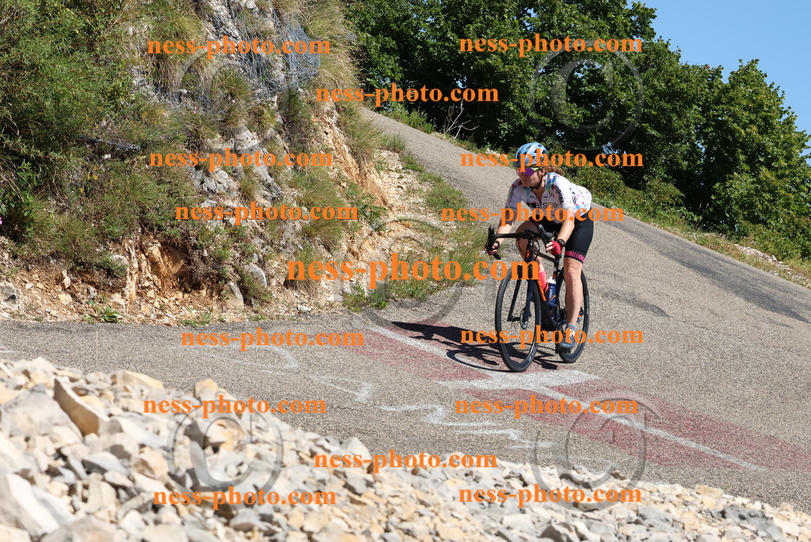 Col du Grand Colombier (663).JPG