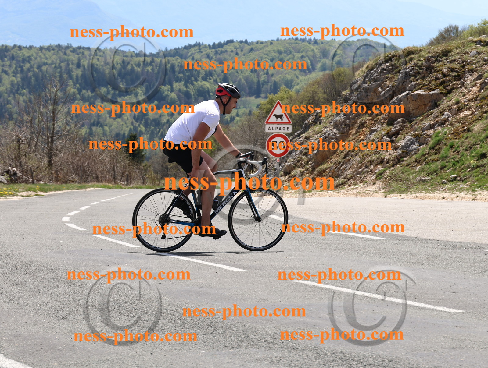 Col du Grand Colombier (713).JPG