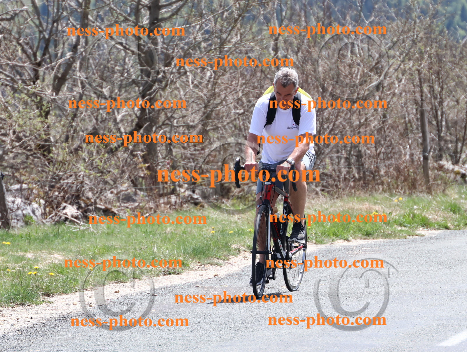 Col du Grand Colombier (772).JPG