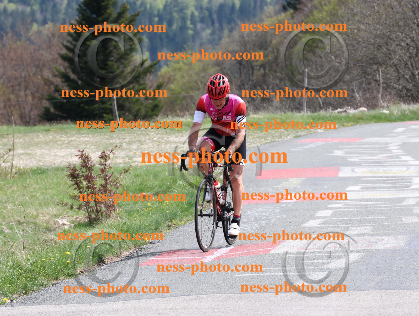 Col du Grand Colombier (1020).JPG