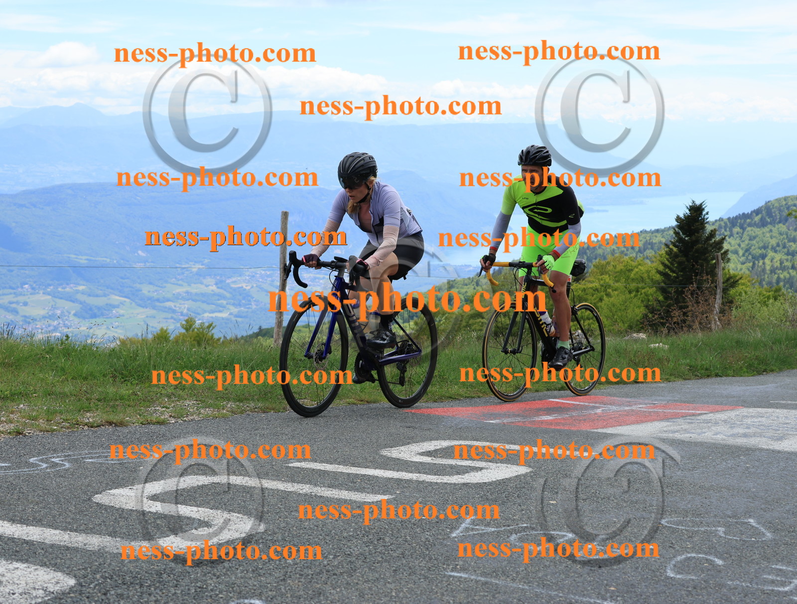 Col du Grand Colombier (539).JPG