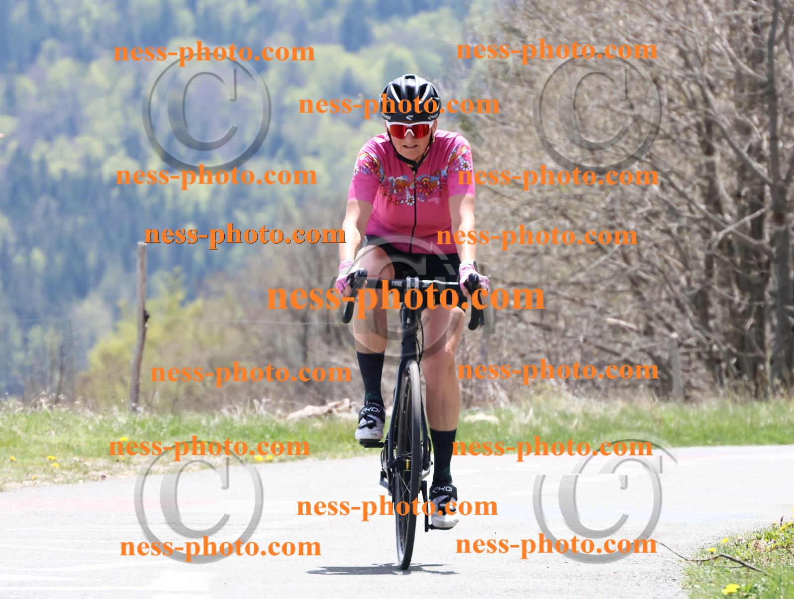 Col du Grand Colombier (629).JPG