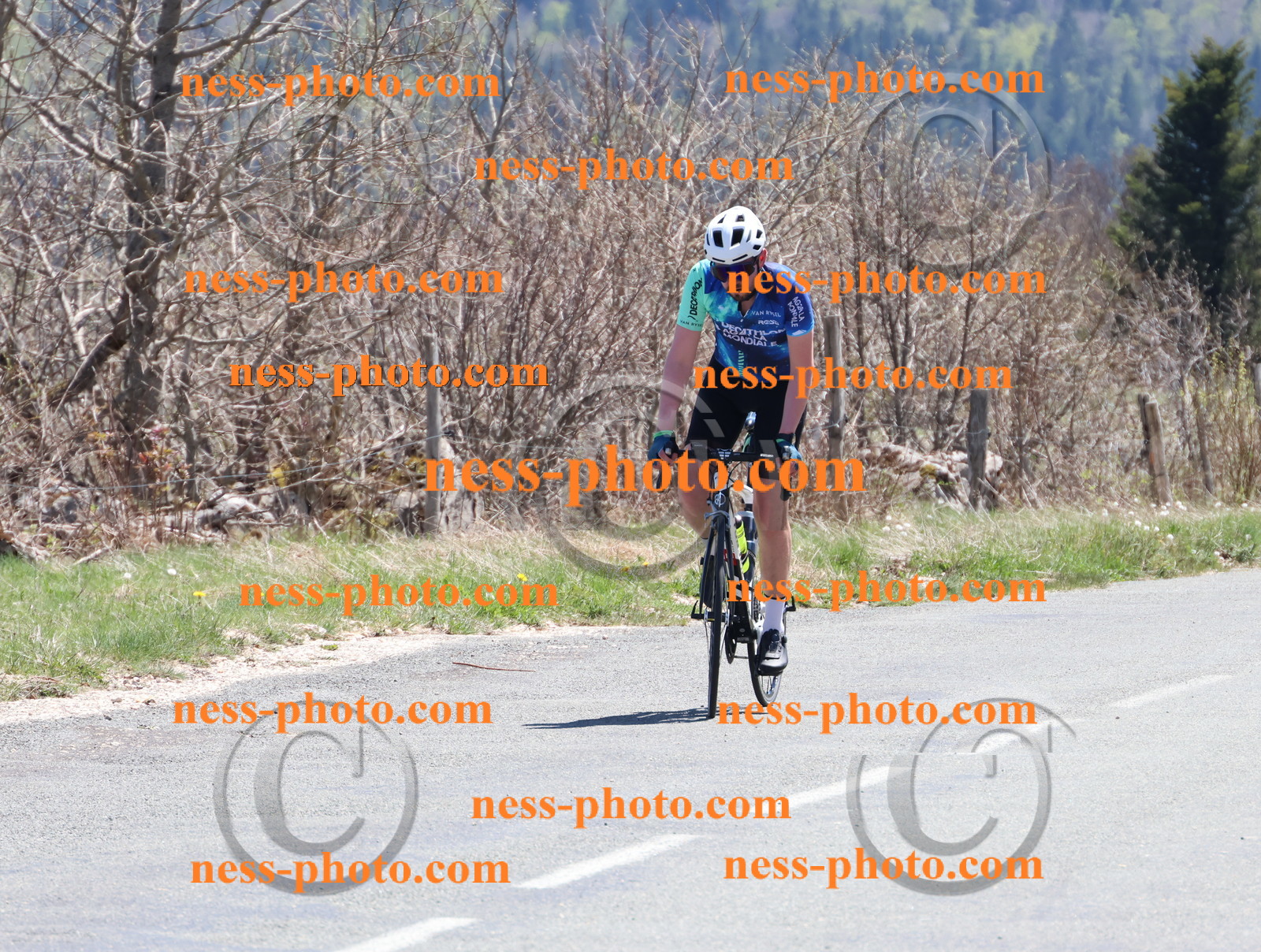 Col du Grand Colombier (825).JPG