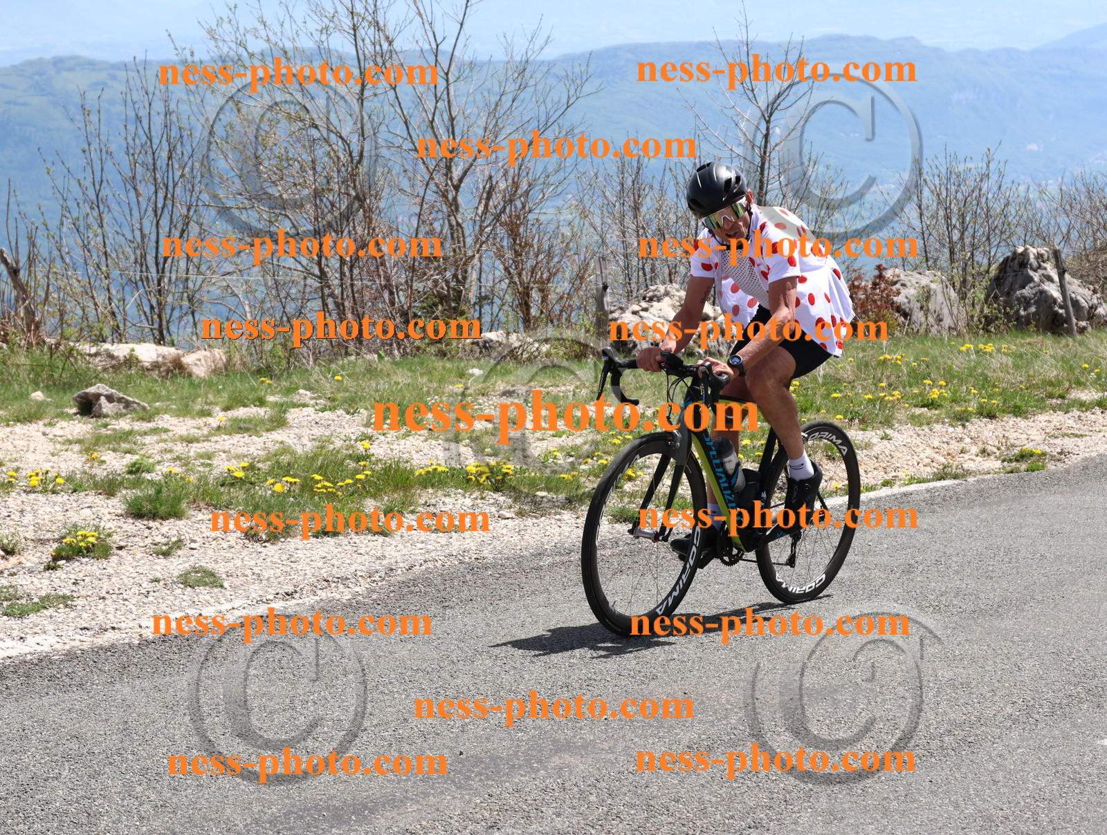 Col du Grand Colombier (674).JPG