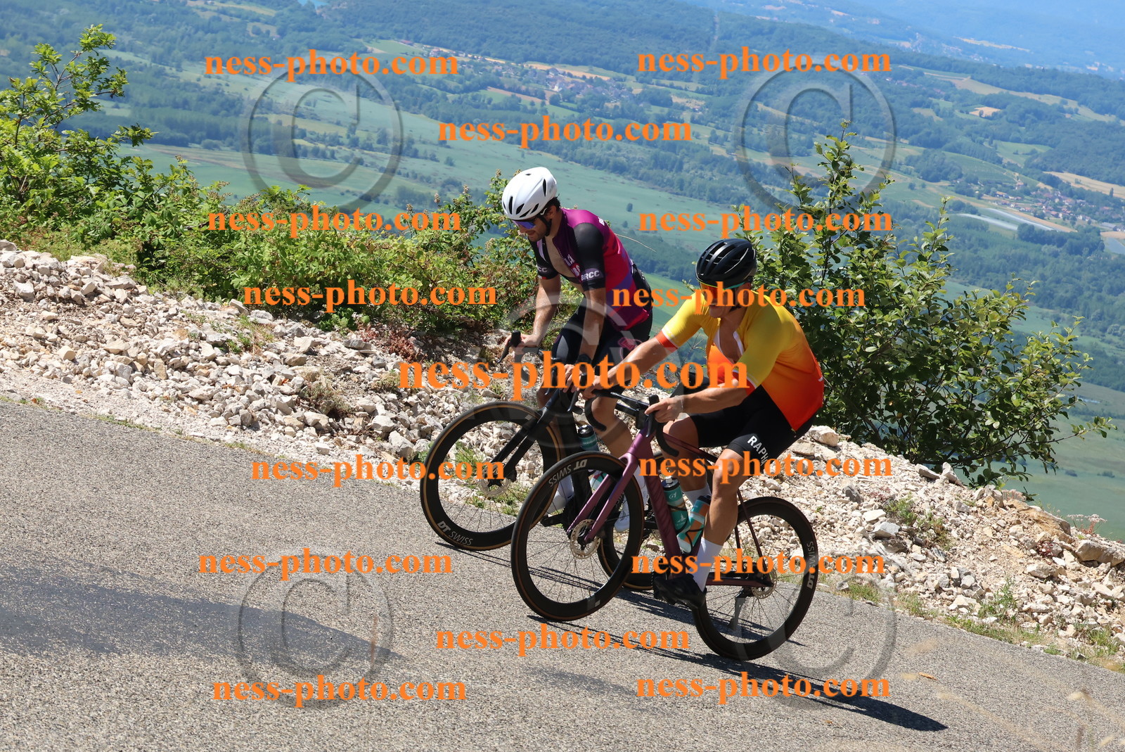 Col du Grand Colombier (567).JPG