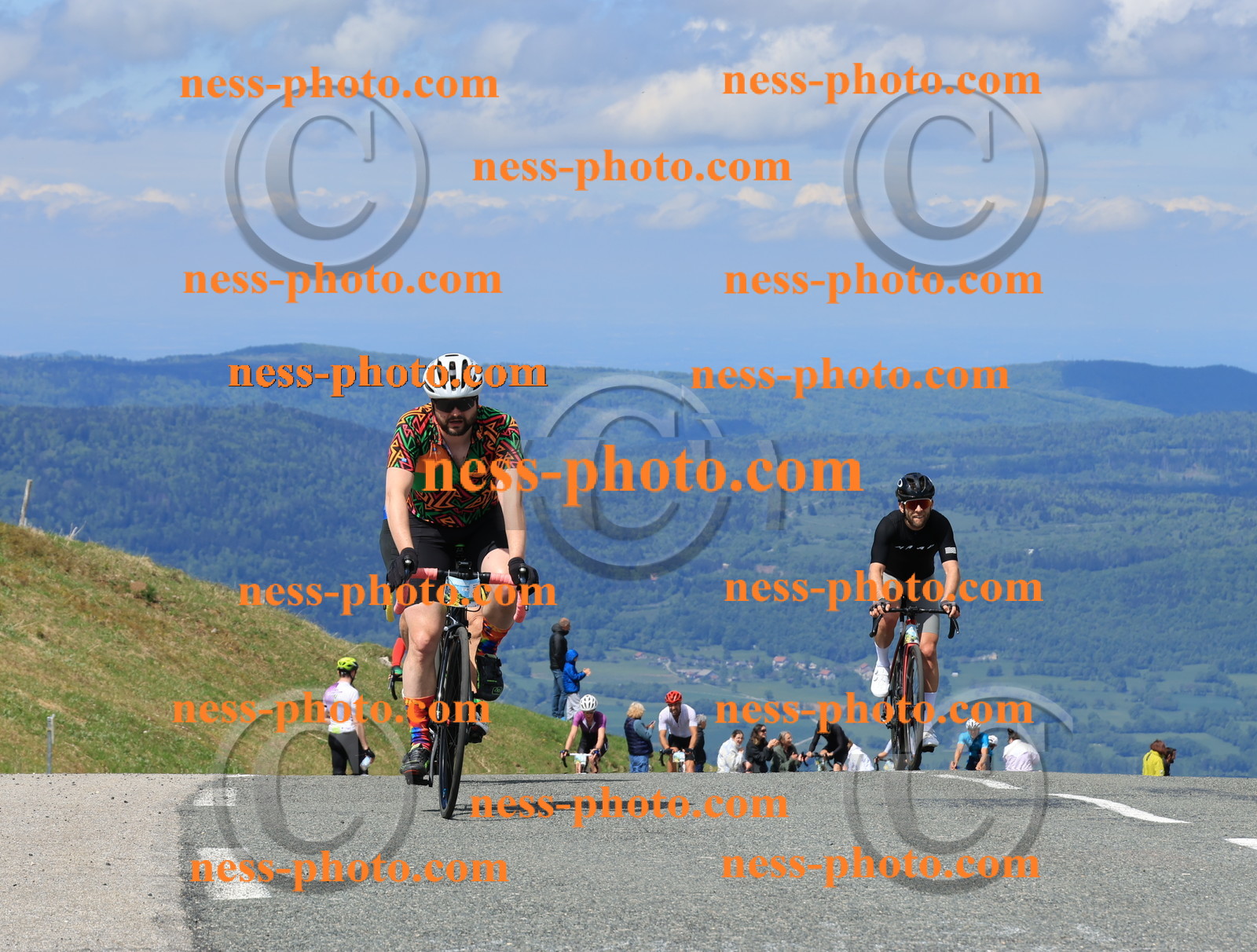 Col du Grand Colombier (1161).JPG