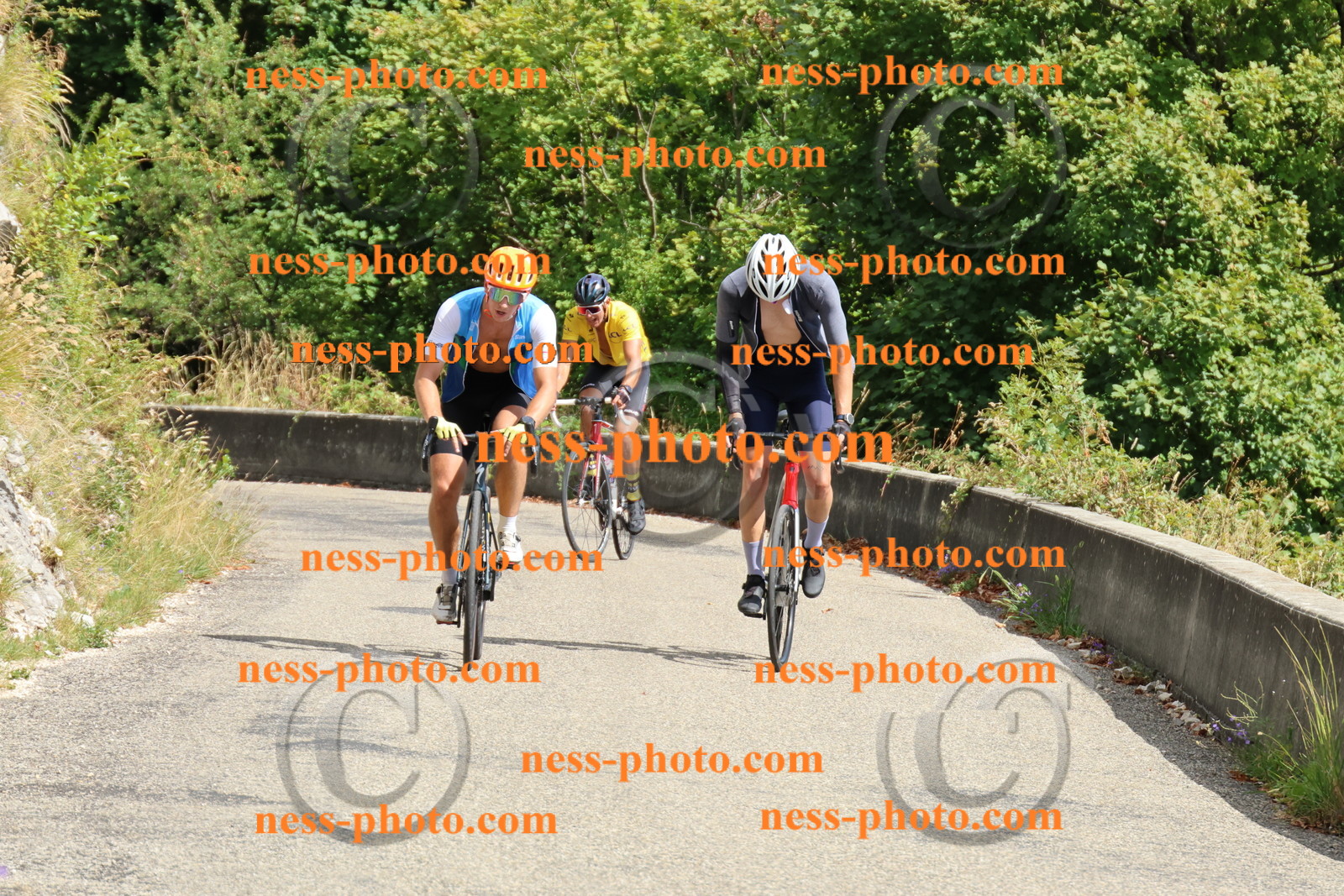 Col du Grand Colombier (456).JPG