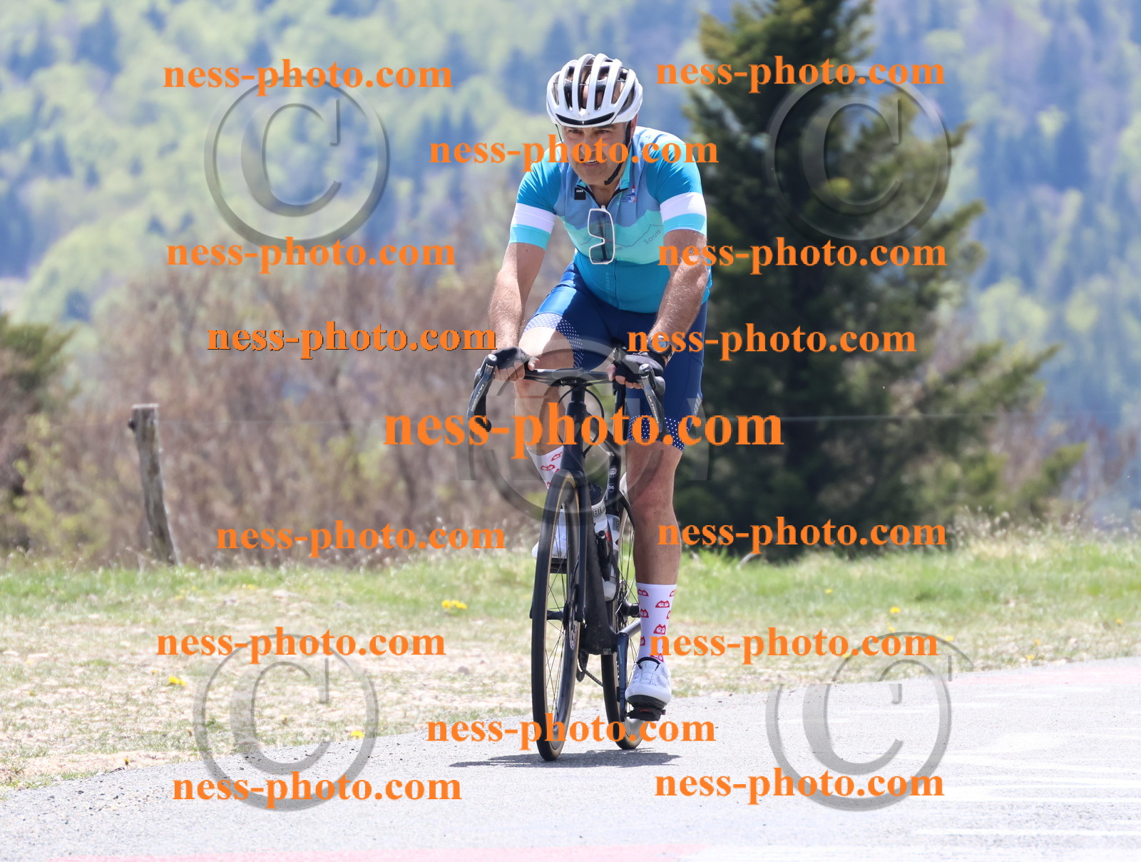 Col du Grand Colombier (561).JPG