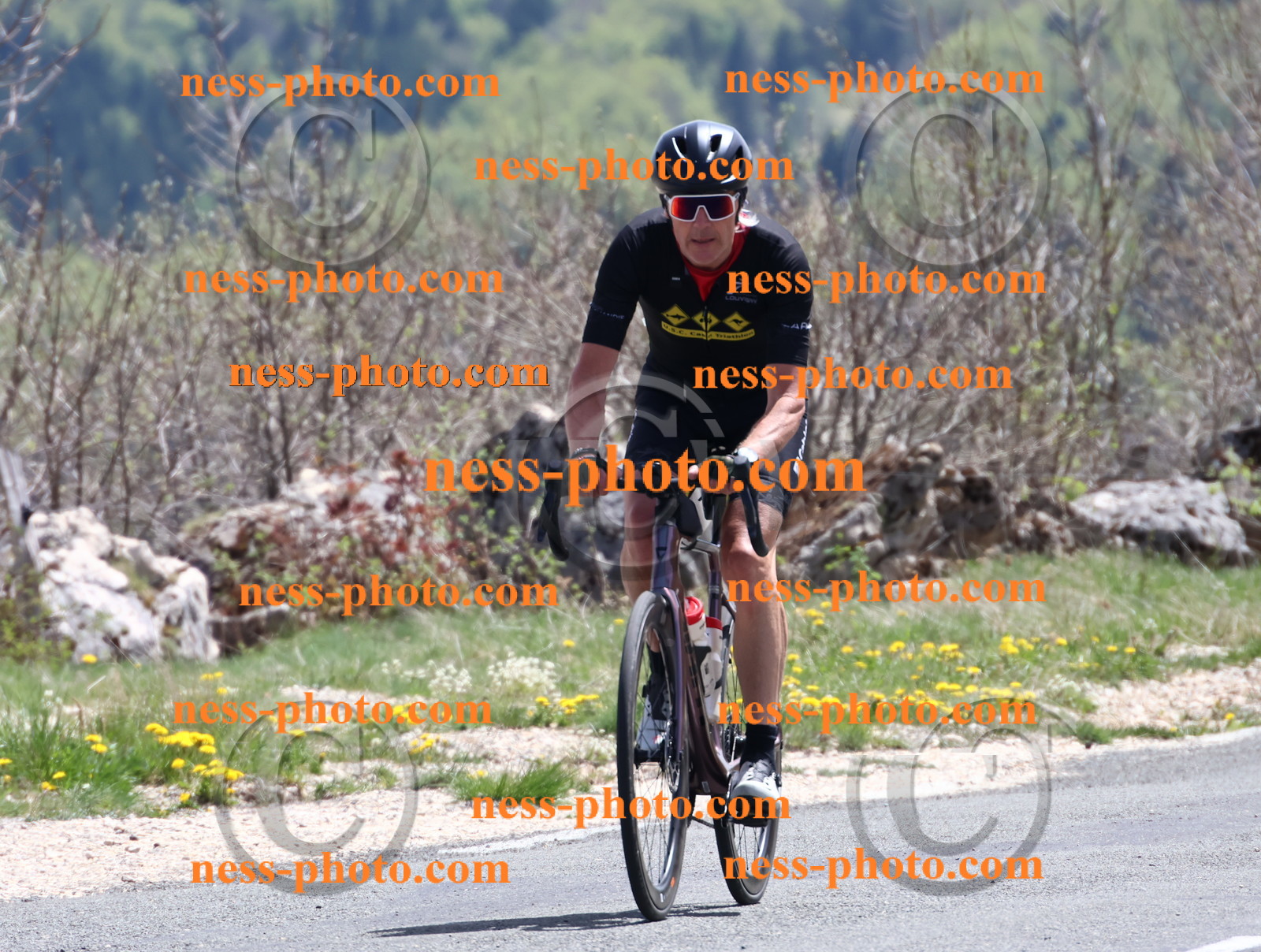 Col du Grand Colombier (786).JPG