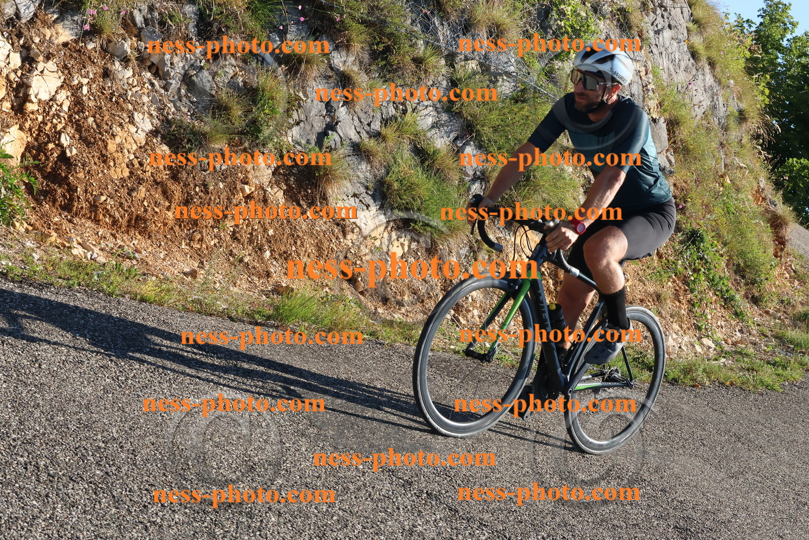 Col du Grand Colombier (140).JPG