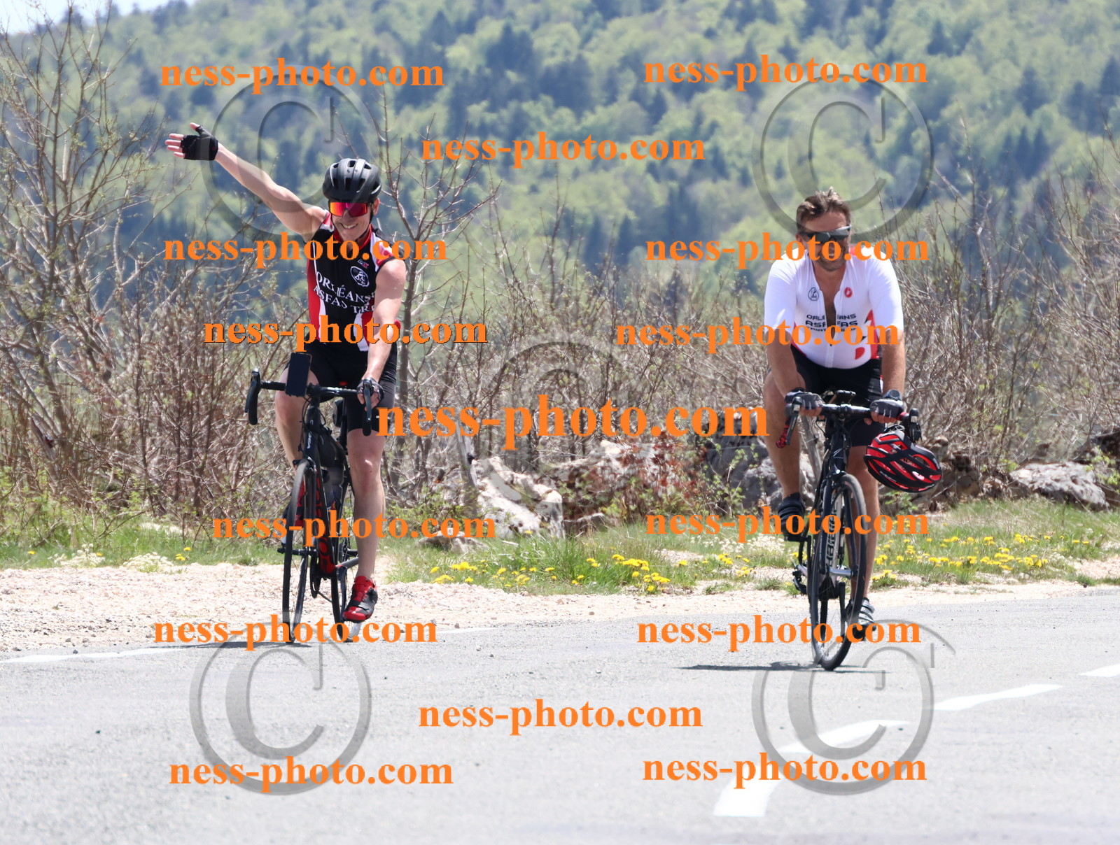 Col du Grand Colombier (729).JPG