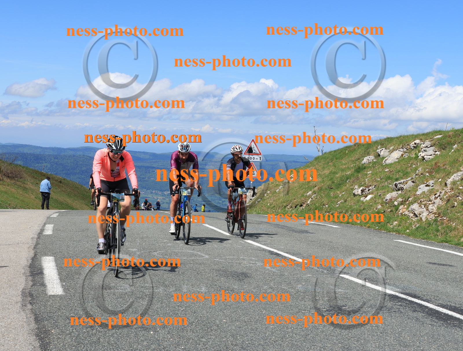 Col du Grand Colombier (1509).JPG