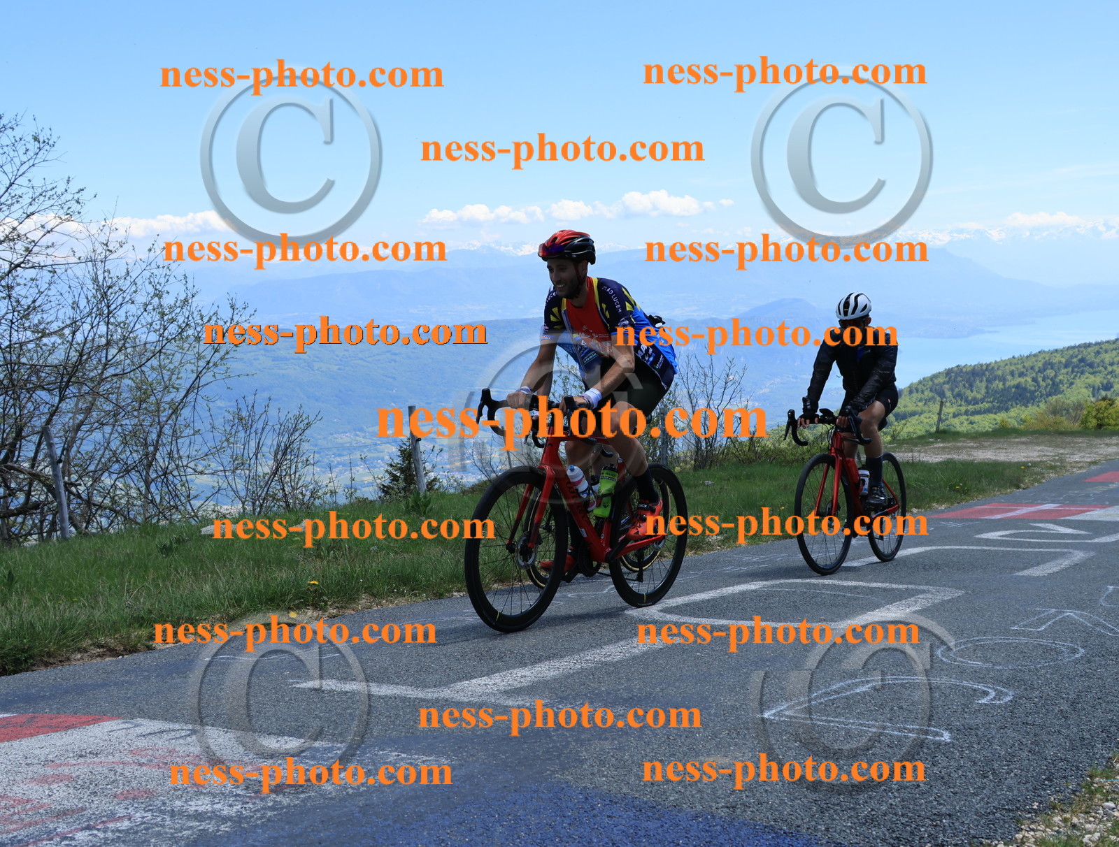 Col du Grand Colombier (480).JPG