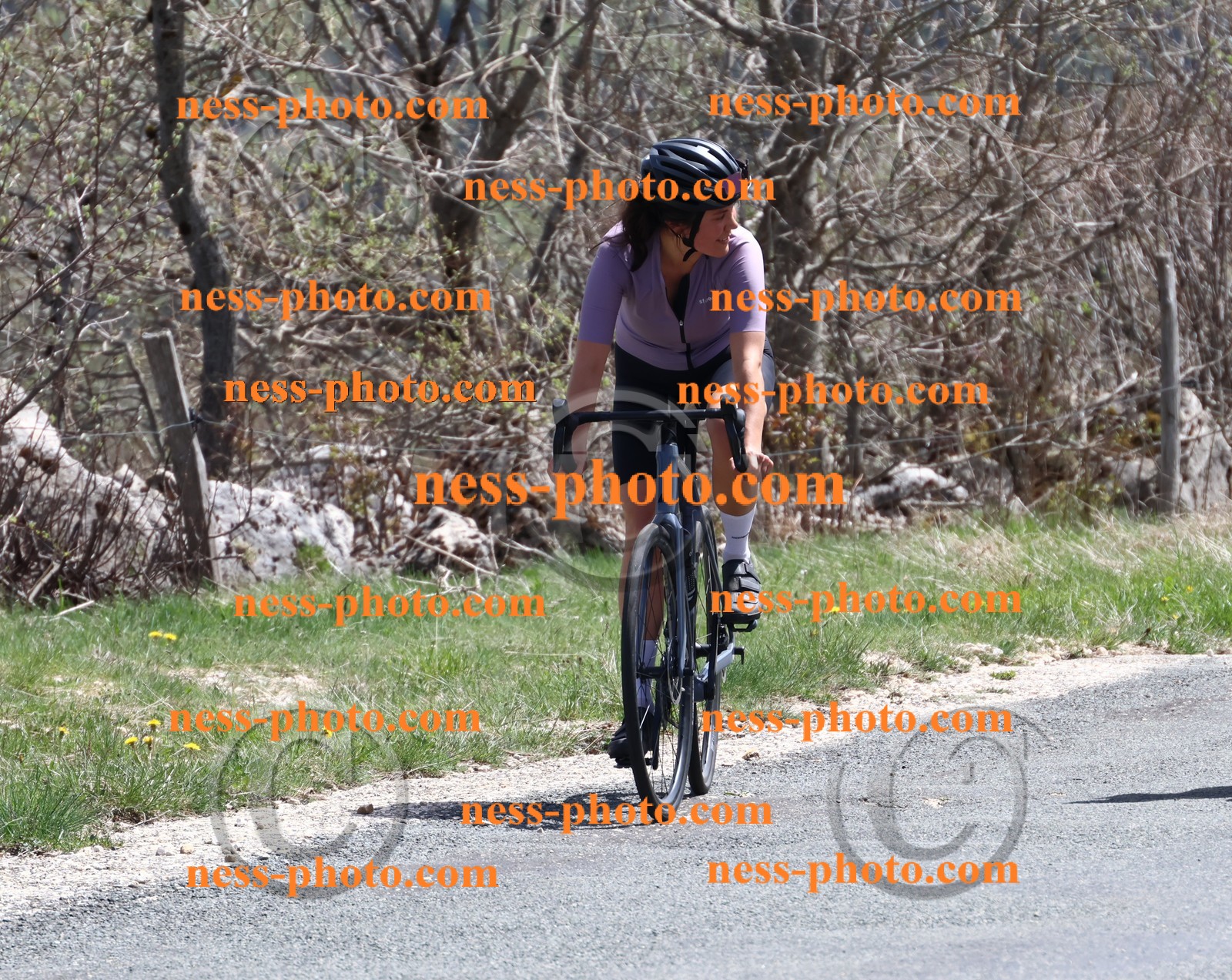 Col du Grand Colombier (865).JPG