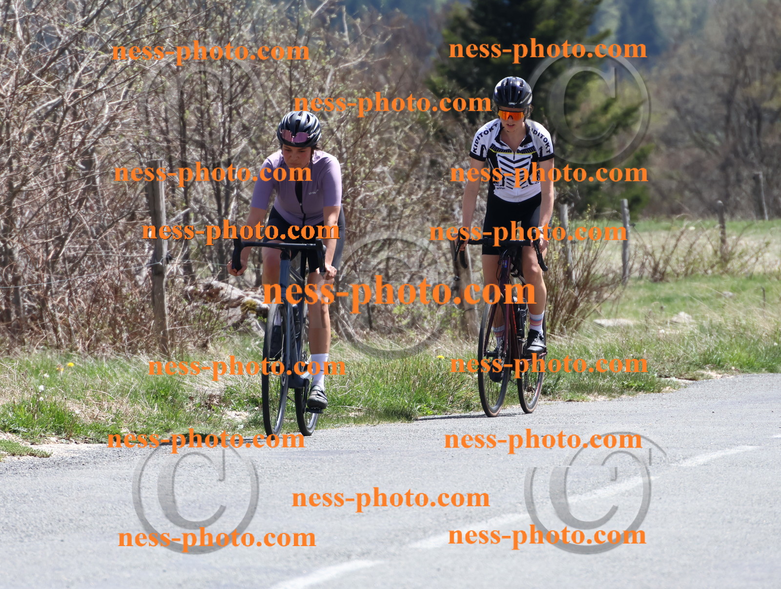 Col du Grand Colombier (862).JPG