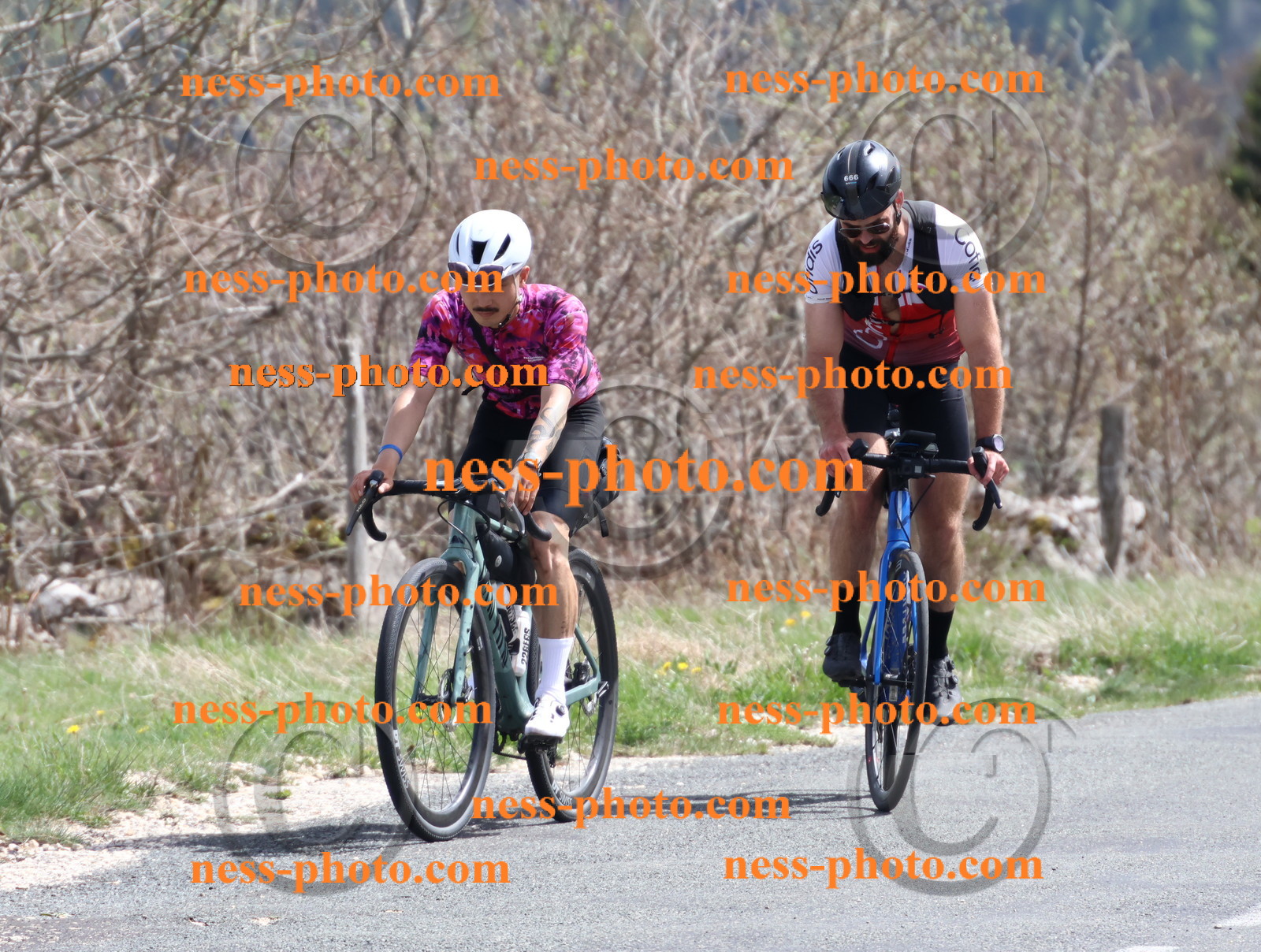 Col du Grand Colombier (984).JPG