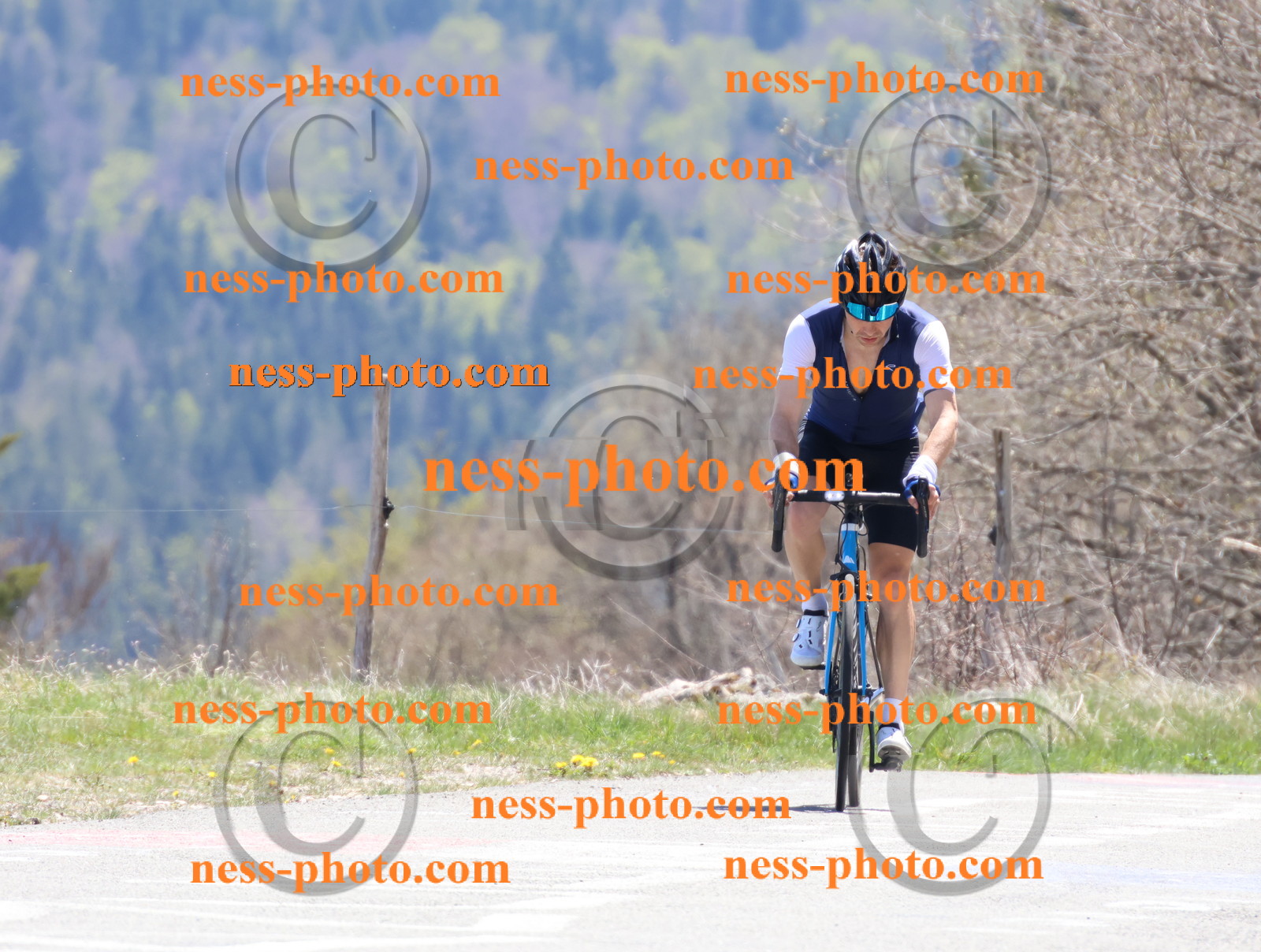 Col du Grand Colombier (765).JPG