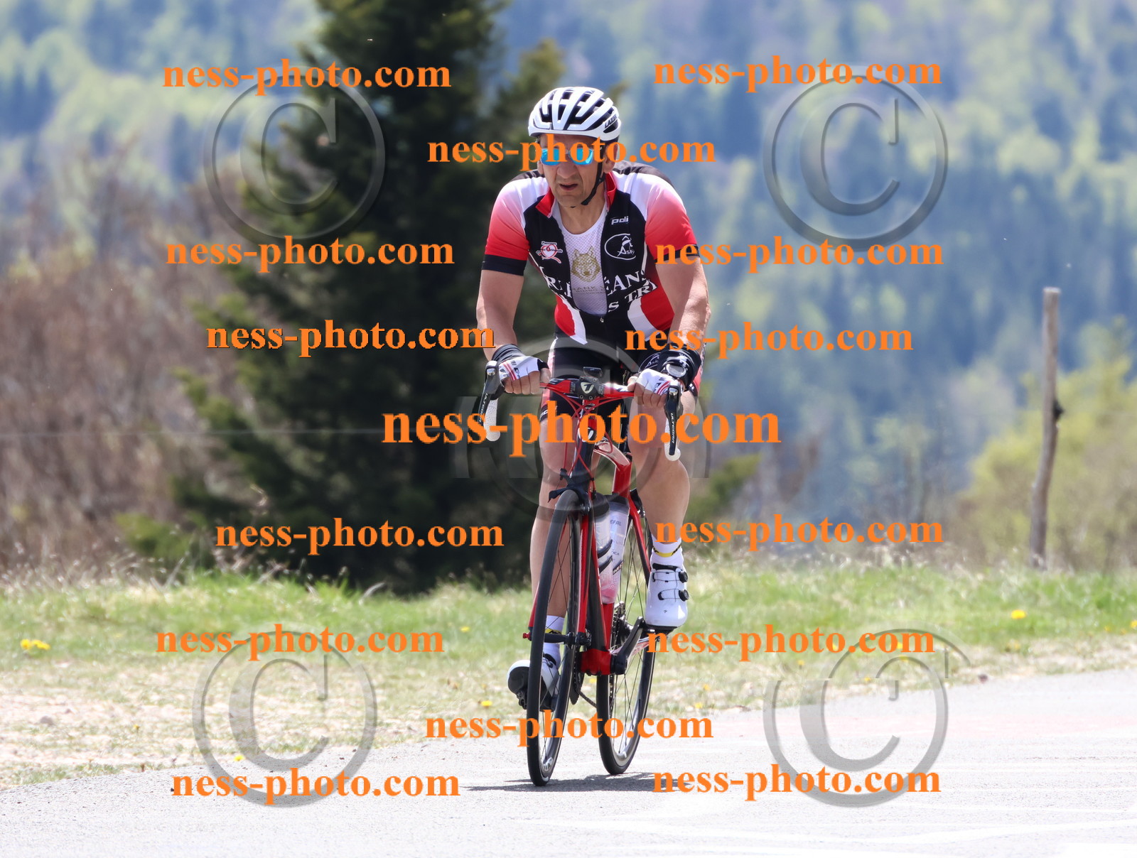 Col du Grand Colombier (513).JPG