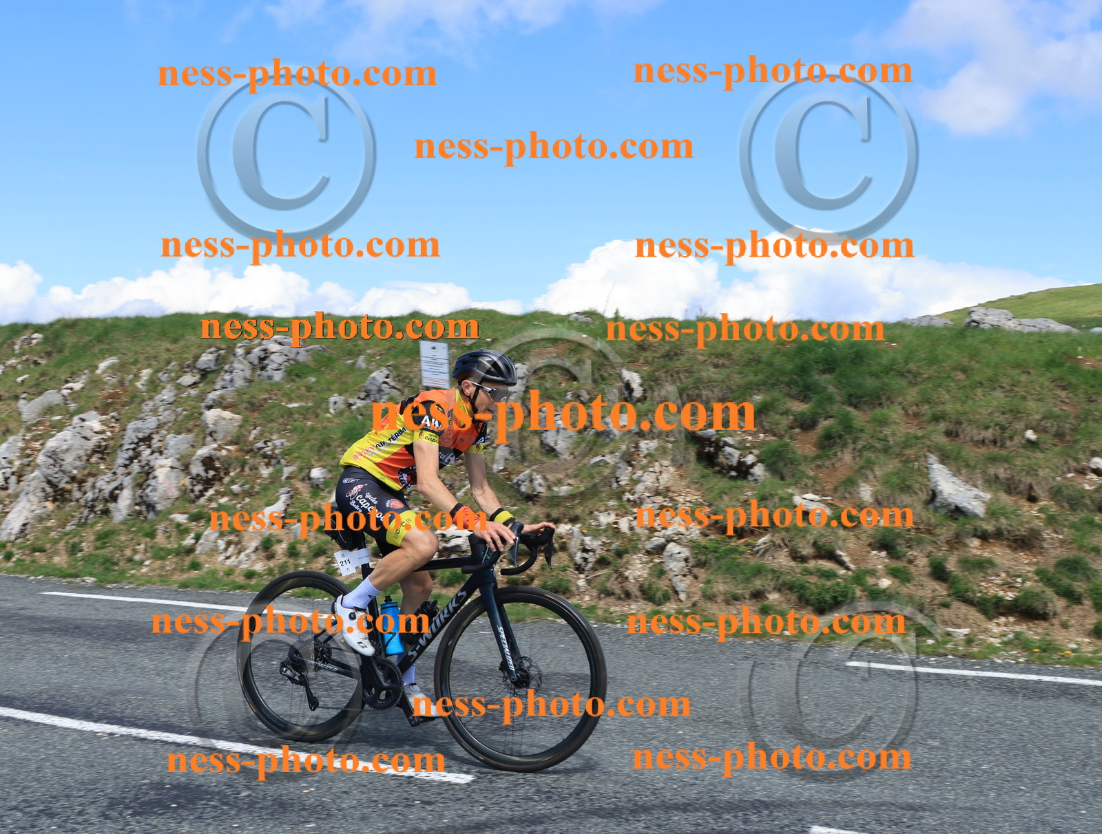 Col du Grand Colombier (1484).JPG