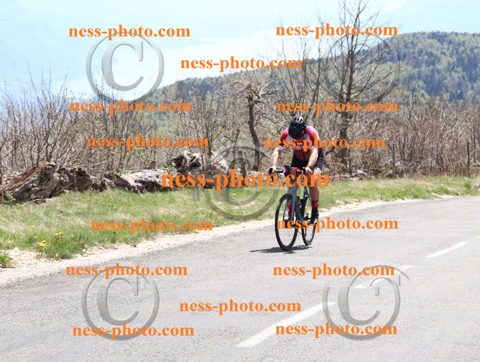 Col du Grand Colombier (663).JPG