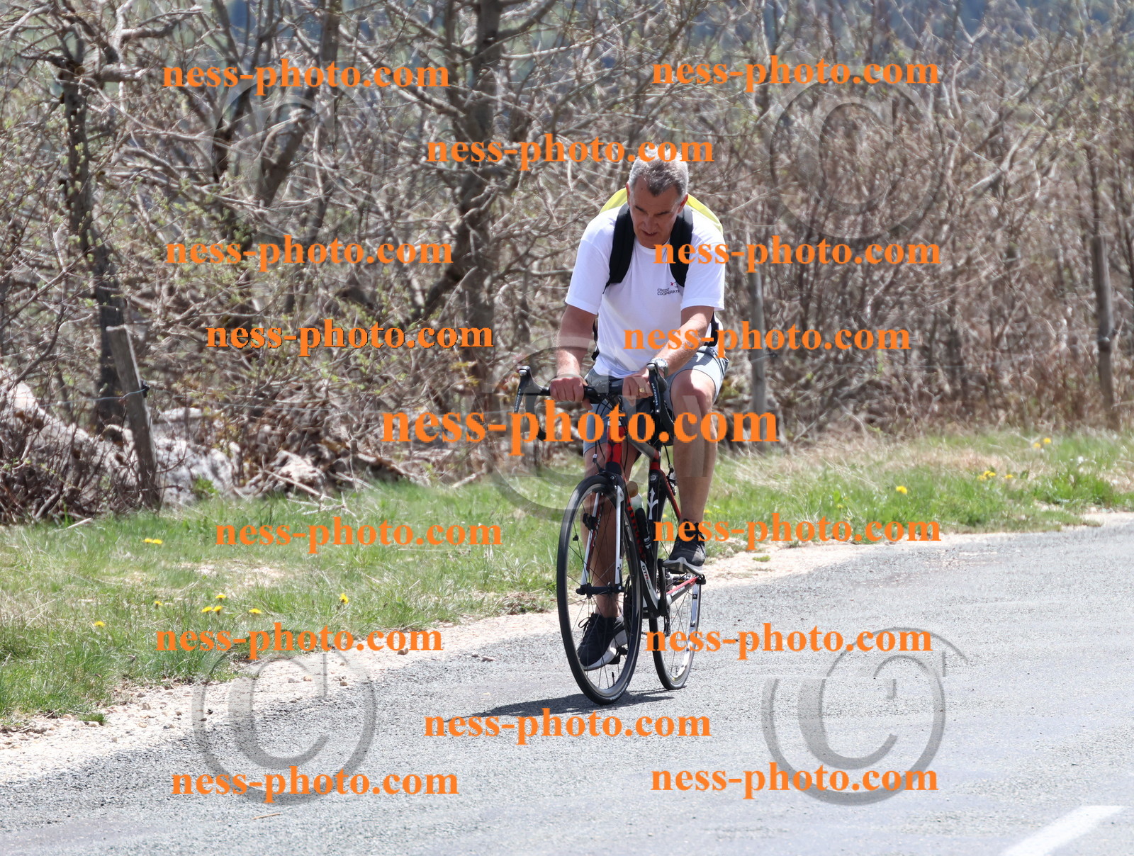 Col du Grand Colombier (773).JPG