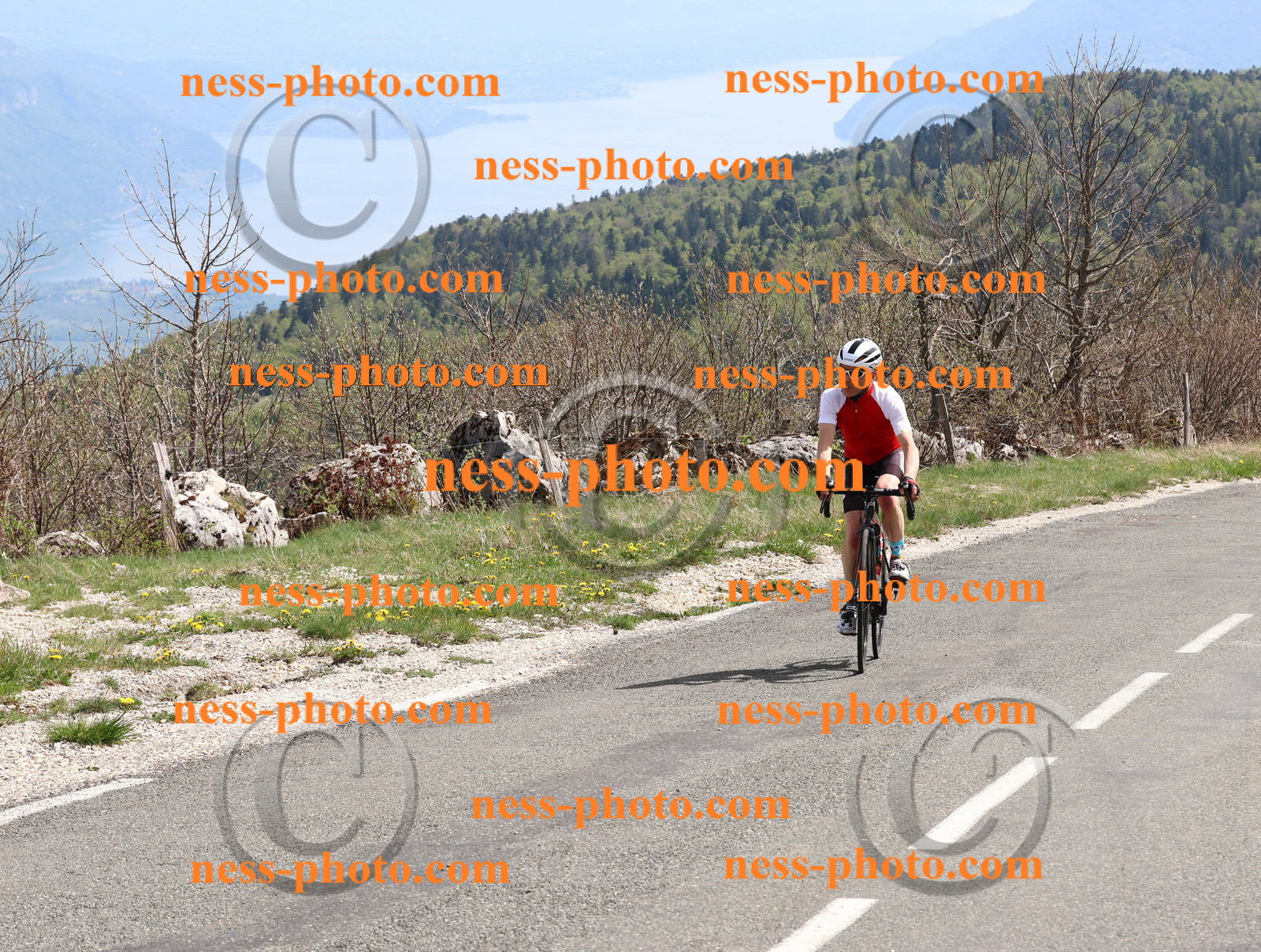 Col du Grand Colombier (977).JPG