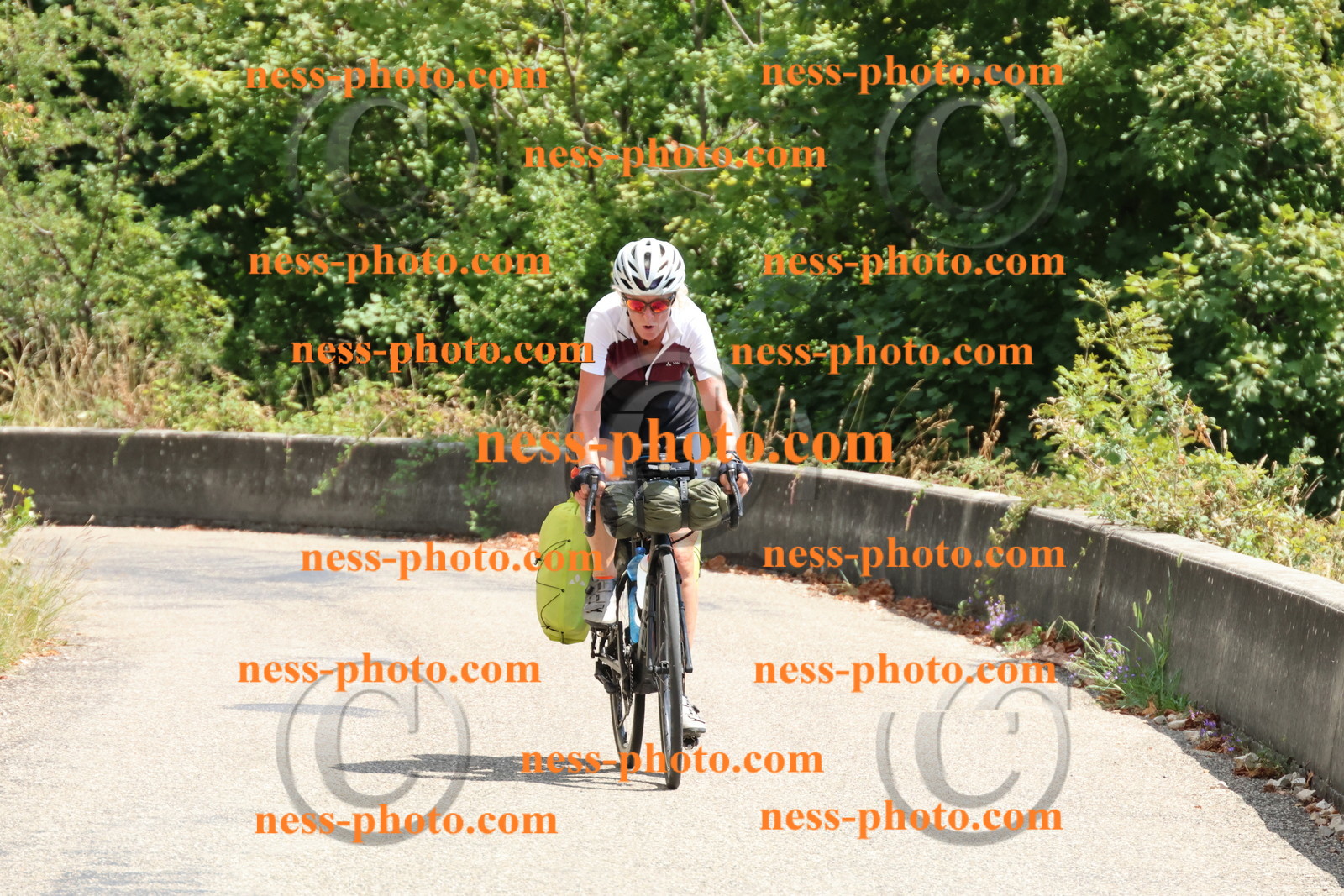 Col du Grand Colombier (404).JPG