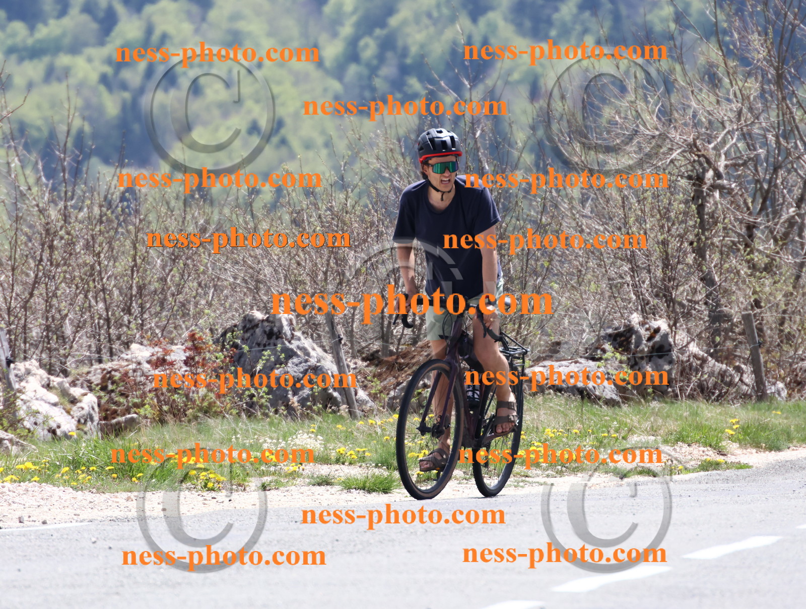 Col du Grand Colombier (702).JPG