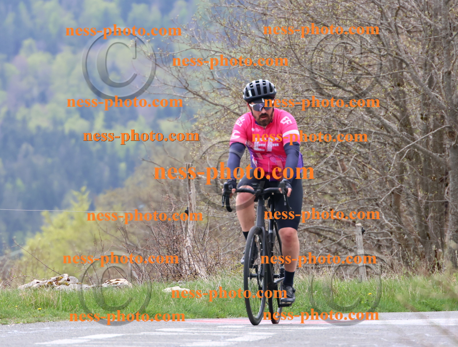 Col du Grand Colombier (115).JPG