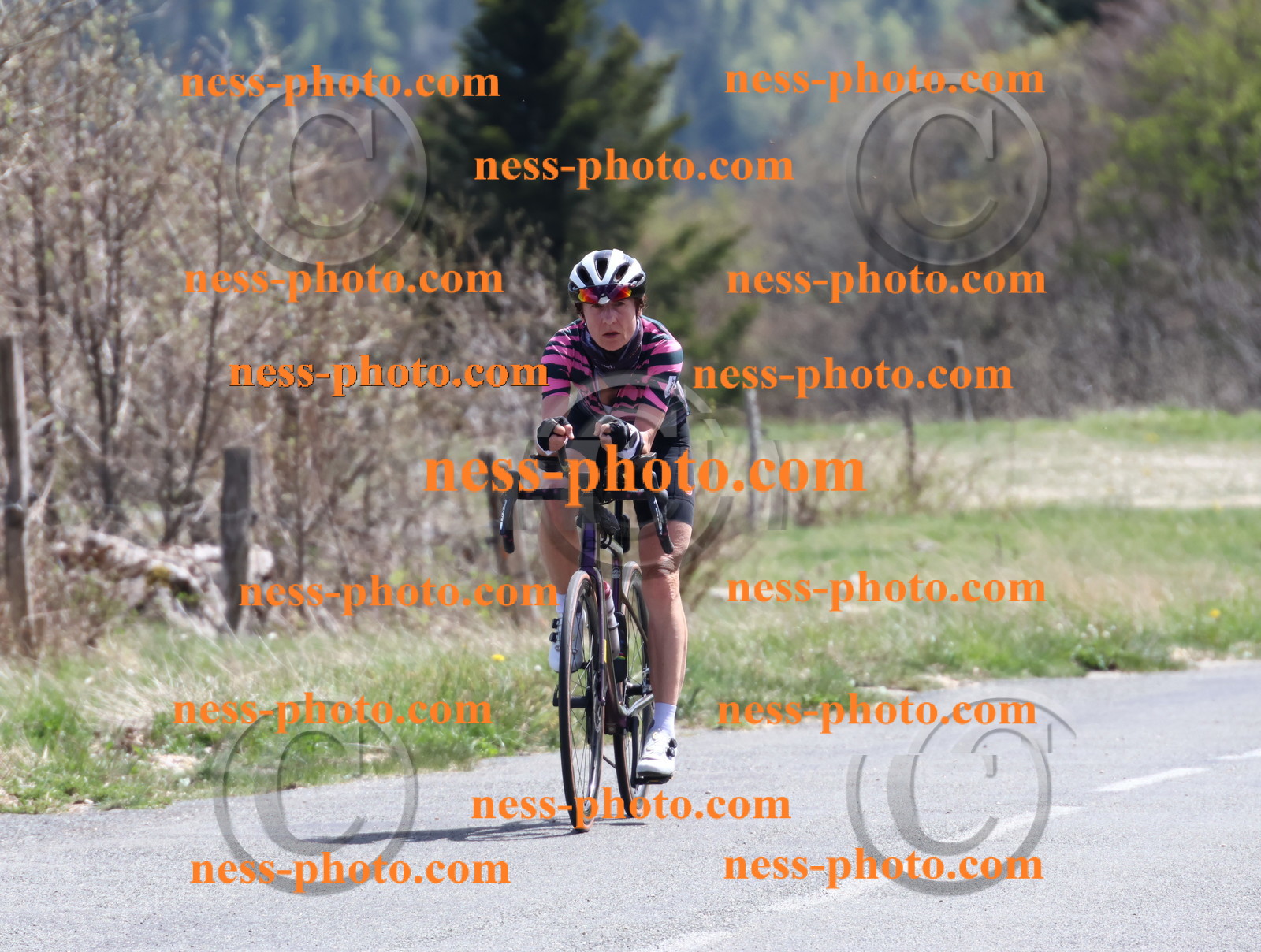 Col du Grand Colombier (919).JPG