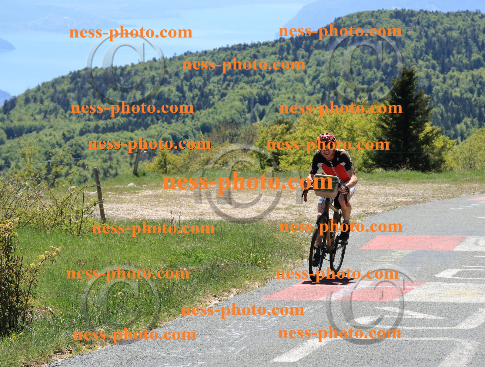 Col du Grand Colombier (331).JPG