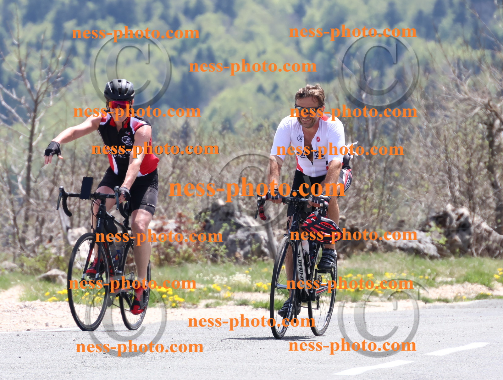 Col du Grand Colombier (727).JPG