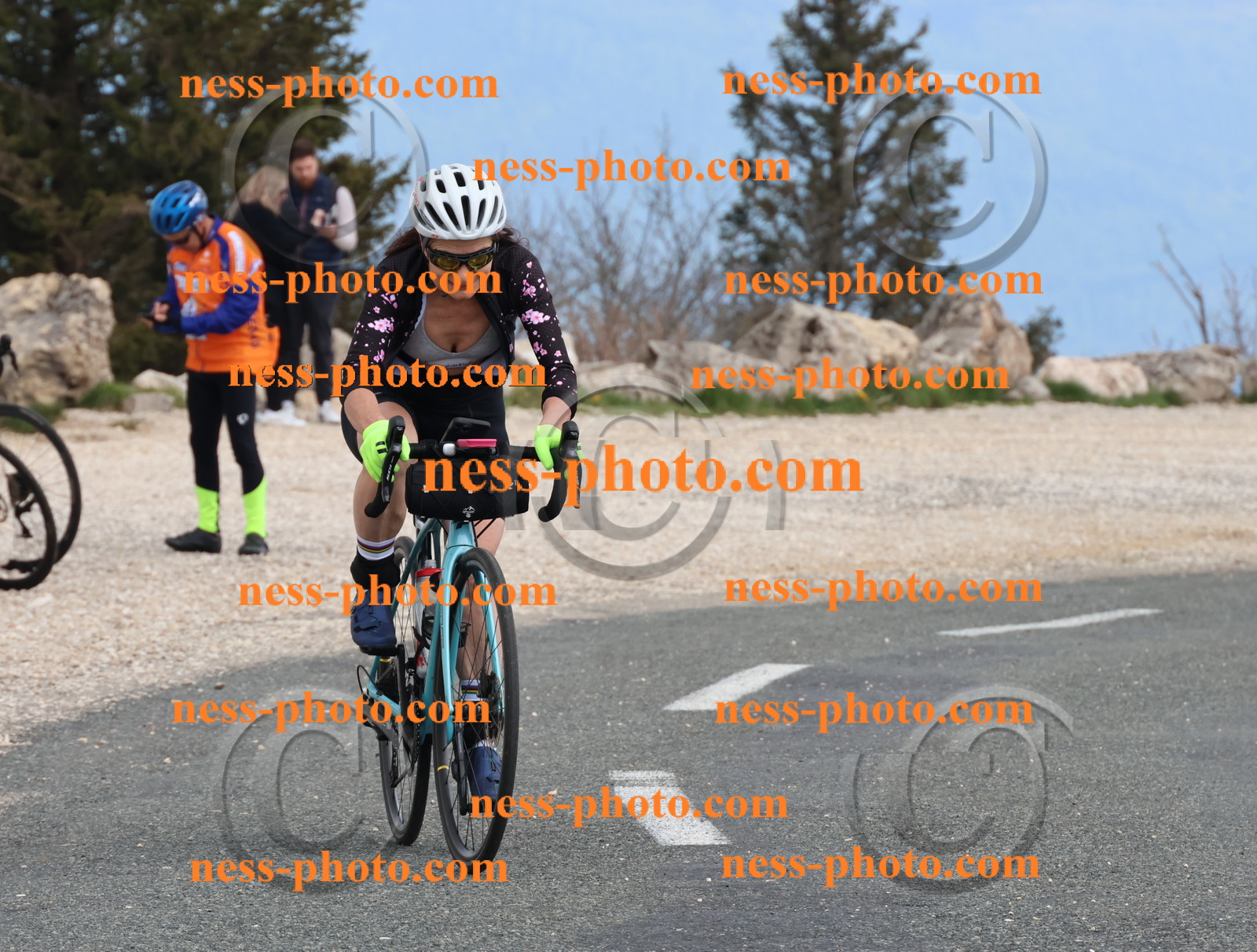 Col du Grand Colombier (361).JPG