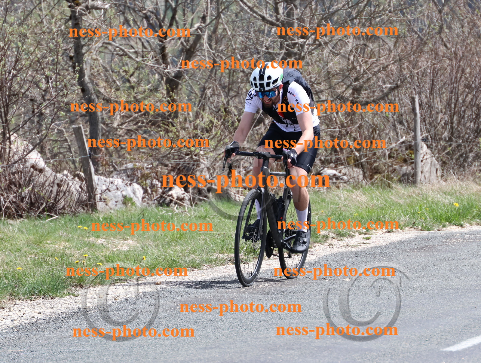 Col du Grand Colombier (1007).JPG