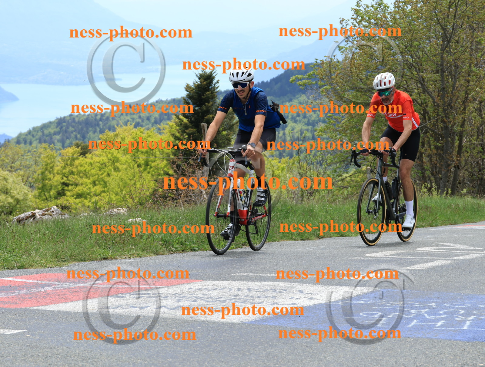 Col du Grand Colombier (481).JPG