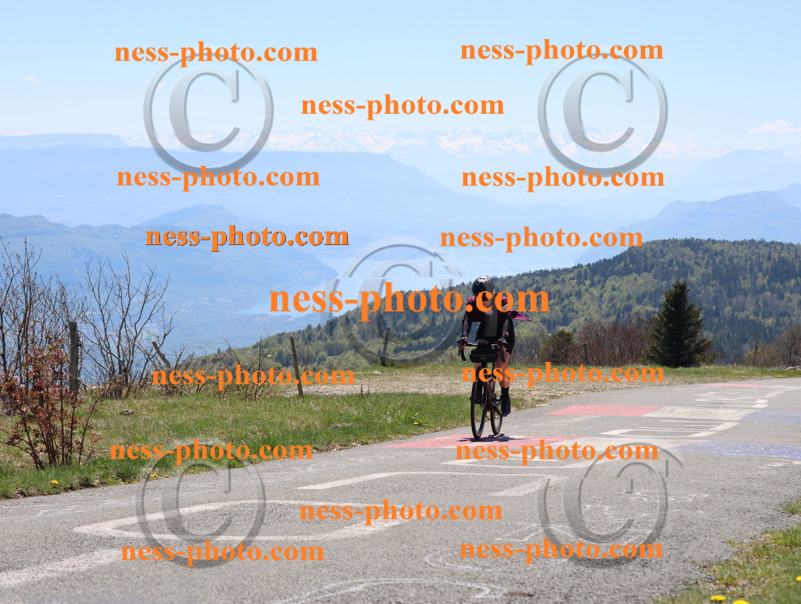 Col du Grand Colombier (459).JPG