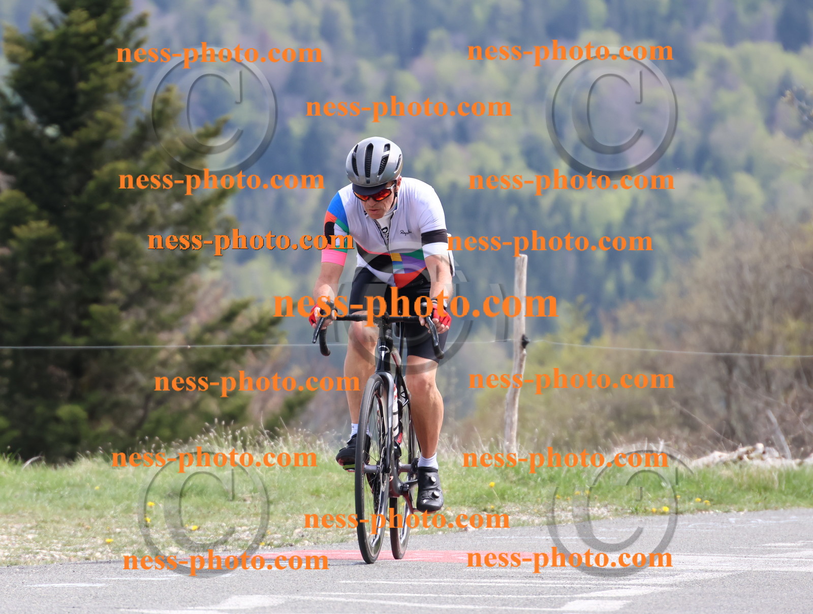 Col du Grand Colombier (1092).JPG