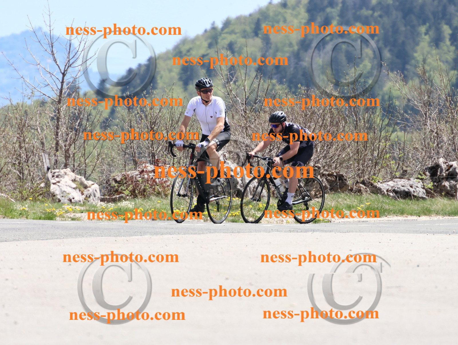 Col du Grand Colombier (793).JPG