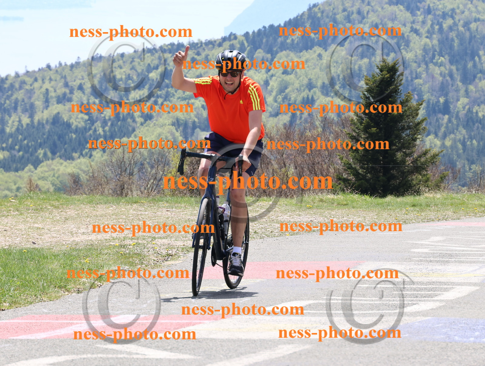 Col du Grand Colombier (439).JPG