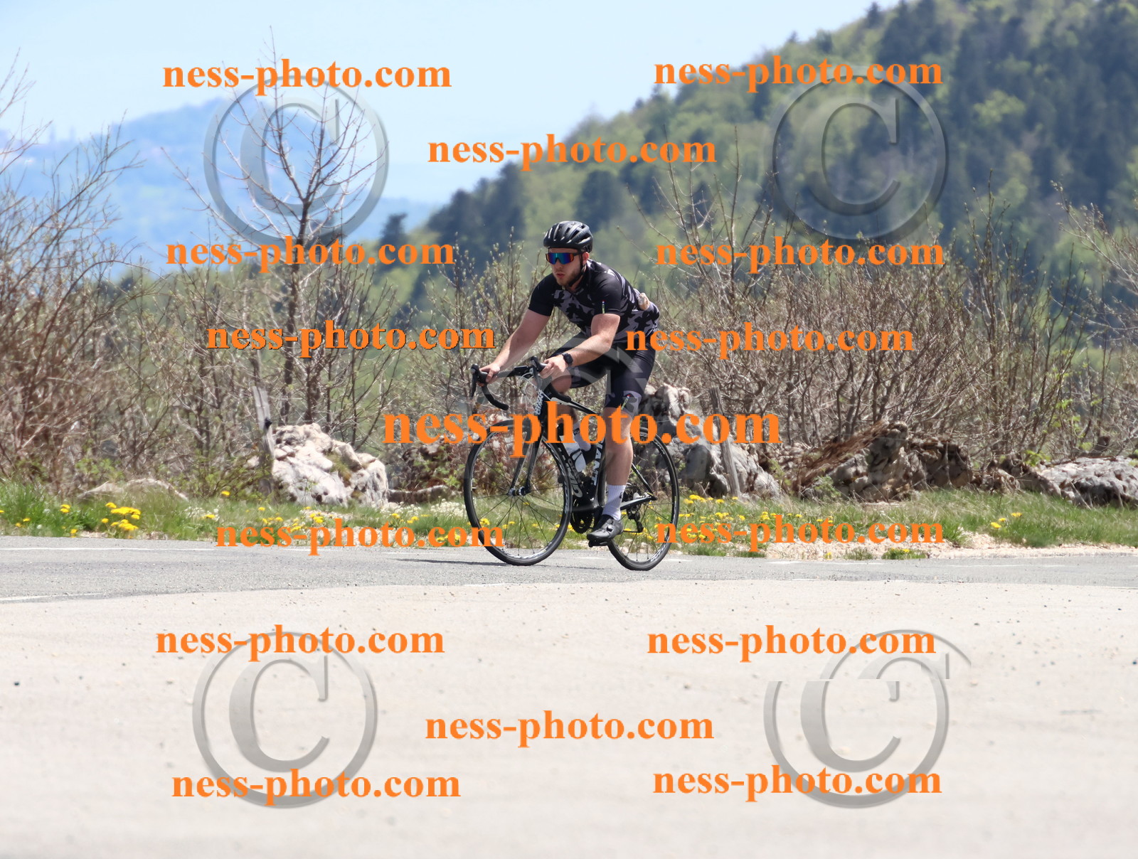 Col du Grand Colombier (798).JPG